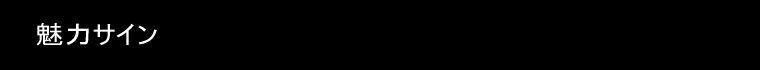 ���̓T�C��